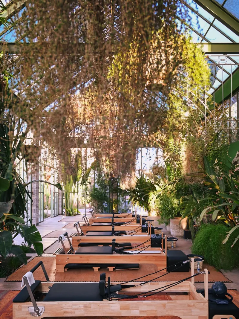 Pilates reformers in a light-filled studio surrounded by hanging plants
